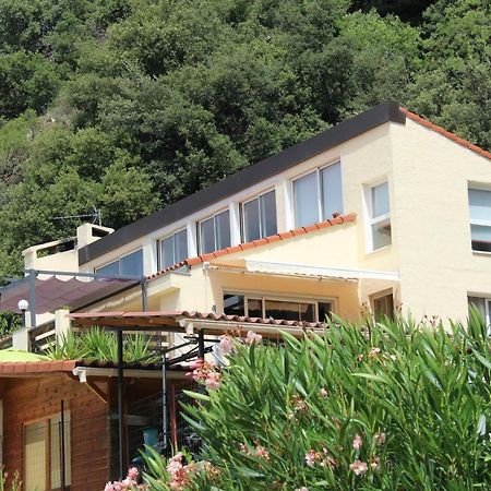 Mas Solar D'En Malcion Villa Amélie-les-Bains-Palalda Kültér fotó