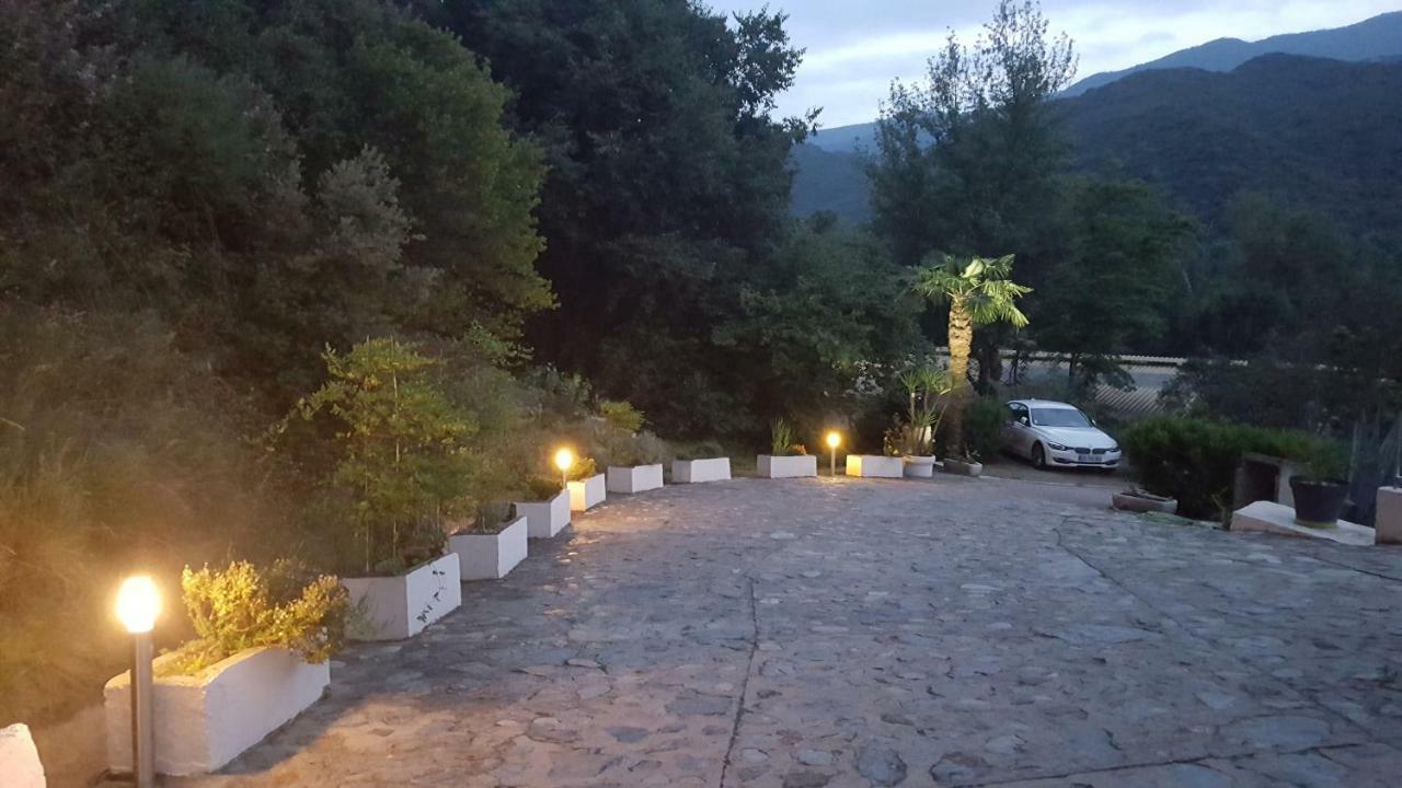 Mas Solar D'En Malcion Villa Amélie-les-Bains-Palalda Kültér fotó