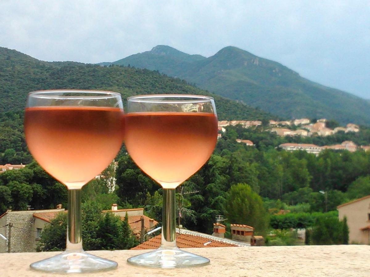 Mas Solar D'En Malcion Villa Amélie-les-Bains-Palalda Kültér fotó
