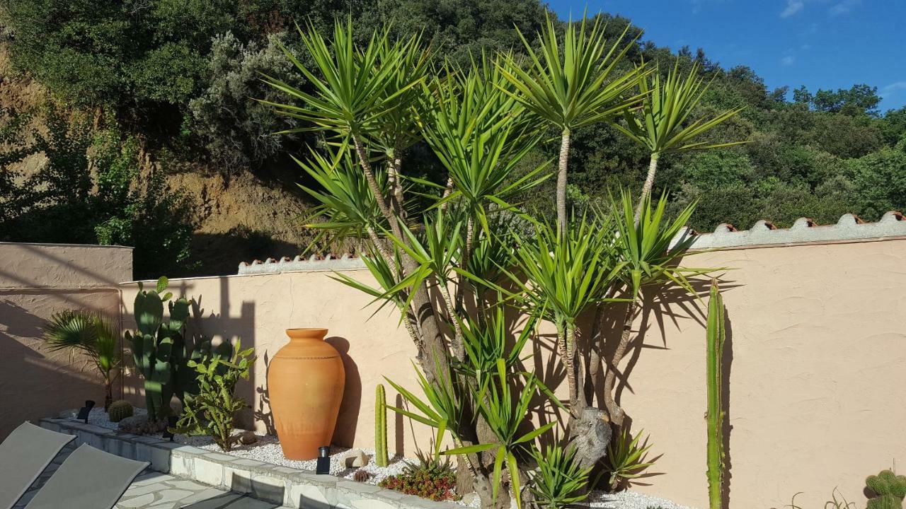 Mas Solar D'En Malcion Villa Amélie-les-Bains-Palalda Kültér fotó